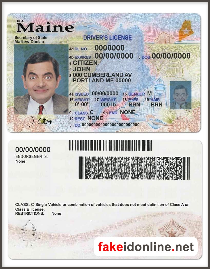 Maine Driver License Template New